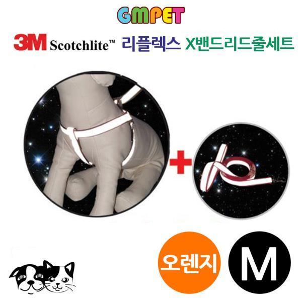 X밴드 세트 오렌지 (M)