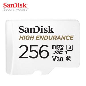 SanDisk 비디오 모니터링 microSD