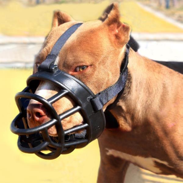 대형견 강아지 입마개 짖음방지기 실리콘 훈련용품