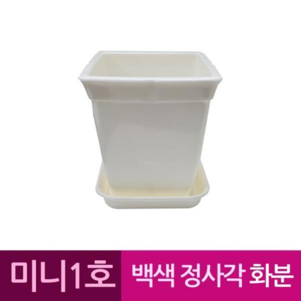 정사각 백색 도자기느낌 플라스틱화분 1호