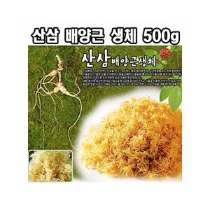 한국농업 산삼배양근생체 500g