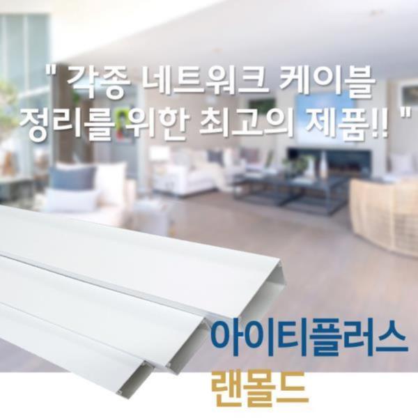 국내생산 PVC 랜덕트(LAN) 60x40x1m