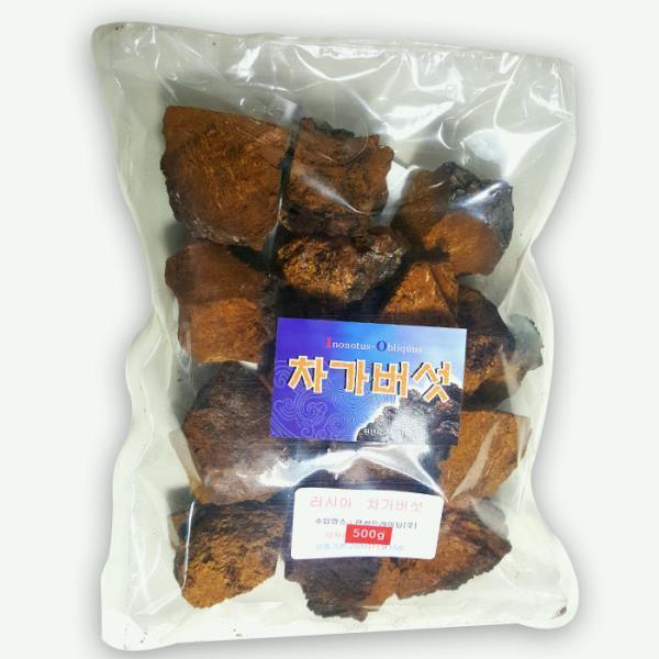 동의한약나라 러시아산 차가버섯 500g