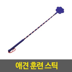 애견 훈육 스틱 1개-색상랜덤발송 반려동물용품