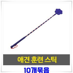 애견 훈육 스틱 10개-색상랜덤발송 애완동물스틱