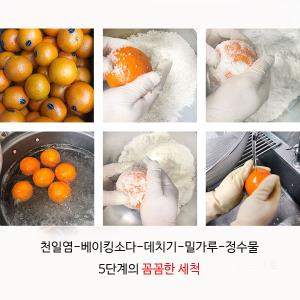 자몽오렌지청 500g 수제청 자몽청 오렌지청 홈카페 청