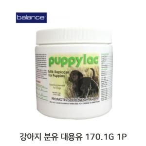 아기강아지 분유 170.1G 1P 어미견 영양식 대용유