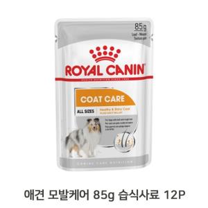 애견 윤기나는 털 습식 사료 85g 12P 모질 파우치