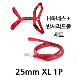 애견 하네스 반사 리드줄 25mm XL 1P 강아지 산책