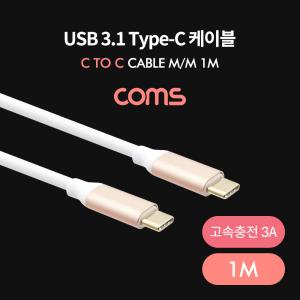 USB 3.1Type C 케이블 / 고속충전3A / 1M